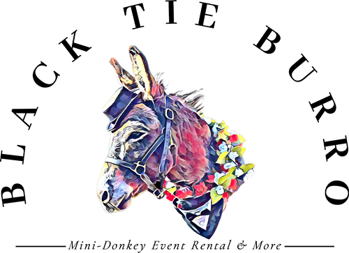 Black Tie Burro, LLC.